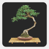 Schönes Bonsai Tree Sticker Set (Vorderseite)