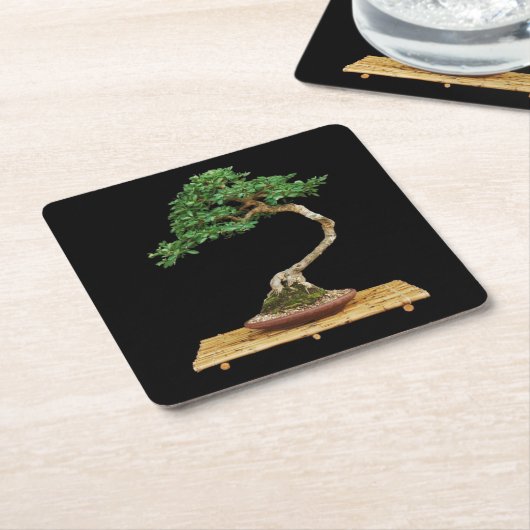 Schönes Bonsai Tree Untersetzer Set (angewinkelt)