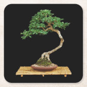 Schönes Bonsai Tree Untersetzer Set (Vorderseite)