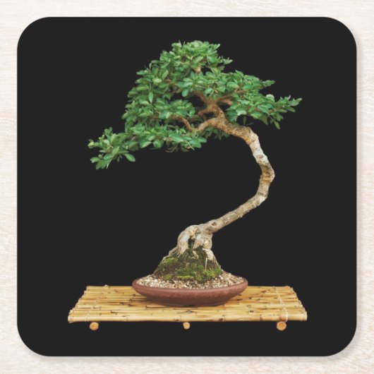 Schönes Bonsai Tree Untersetzer Set (Vorderseite)