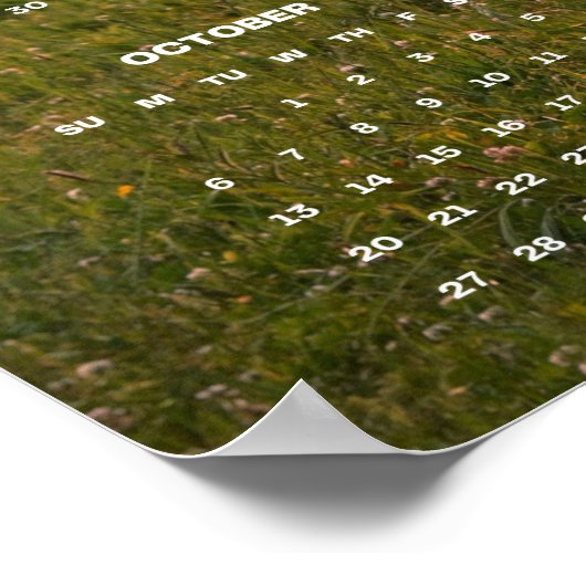 Schönes braunes Pferd auf Wiese 2024 Mauerkalender Poster (Ecke)