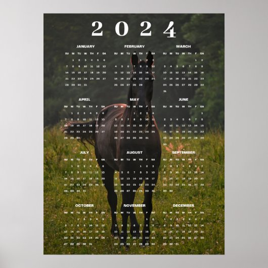 Schönes braunes Pferd auf Wiese 2024 Mauerkalender Poster (Vorne)