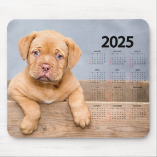 Schönes braunes Welpe 2025 Dog Calendar Mousepad