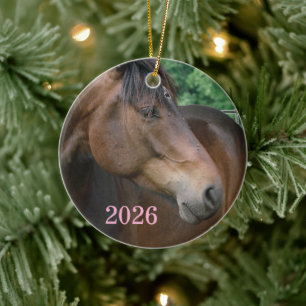 Schönes Braunpferd Keramikornament