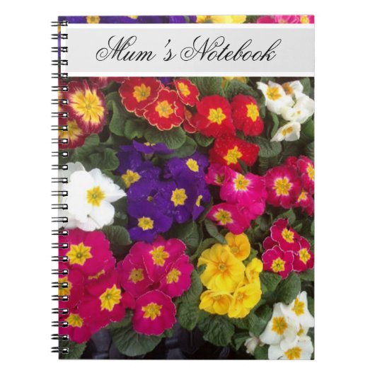 Schönes Bright Polyanthus-Blume Notebook Notizblock (Vorderseite)