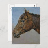 Schönes Brown Horse Portrait Postkarte (Vorne/Hinten)