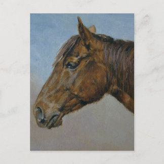 Schönes Brown Horse Portrait Postkarte