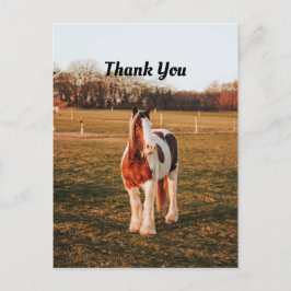 Schönes Brown Paint Draft Horse Foto Vielen Dank Postkarte
