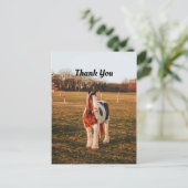 Schönes Brown Paint Draft Horse Foto Vielen Dank Postkarte (Stehend Vorderseite)