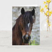 Schönes Brown Pferd Karte (Gelbe Blume)