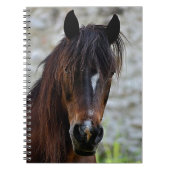 Schönes Brown-Pferd Notizblock (Vorderseite)