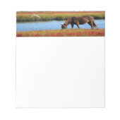 Schönes Brown Pferd Notizblock (Vorderseite)