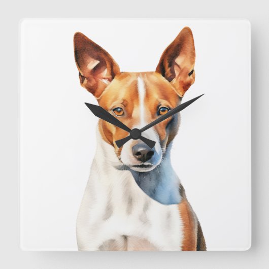 SCHÖNES BROWN & WHITE BASENJI DOG QUADRATISCHE WANDUHR (Vorderseite)