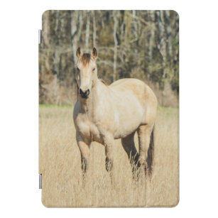 Schönes Buckskin Pferd iPad Pro Cover