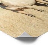 Schönes Buckskin Pferd Poster (Ecke)