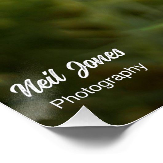 Schönes Budha Inspiration Poster (Ecke)