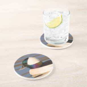 Schönes Bufflehead Duck in der Nachmittagssonne Getränkeuntersetzer