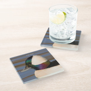 Schönes Bufflehead Duck in der Nachmittagssonne Glasuntersetzer