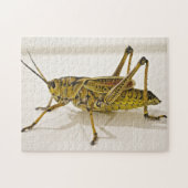 Schönes Bug Grasshopper Locust Foto Puzzle (Horizontal)