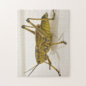 Schönes Bug Grasshopper Locust Foto Puzzle (Vertikal)