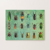 Schönes Bugs Beetle Mania Puzzle (Horizontal)