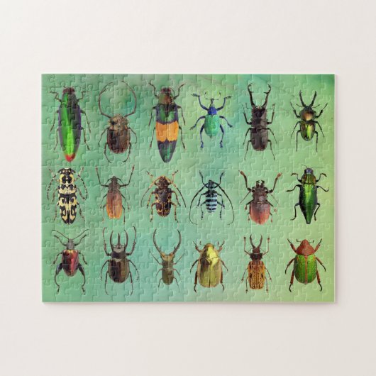 Schönes Bugs Beetle Mania Puzzle (Horizontal)