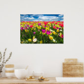 Schönes buntes Tulip-Feld Poster (Küche)