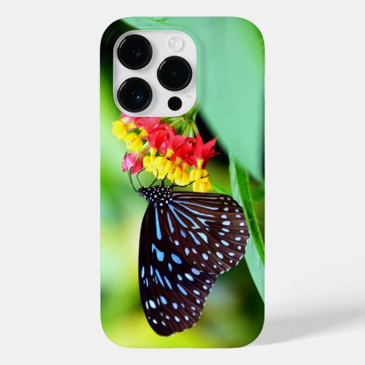 Schönes Butterfly iPhone / iPad Gehäuse Case-Mate iPhone Hülle (Rückseite)
