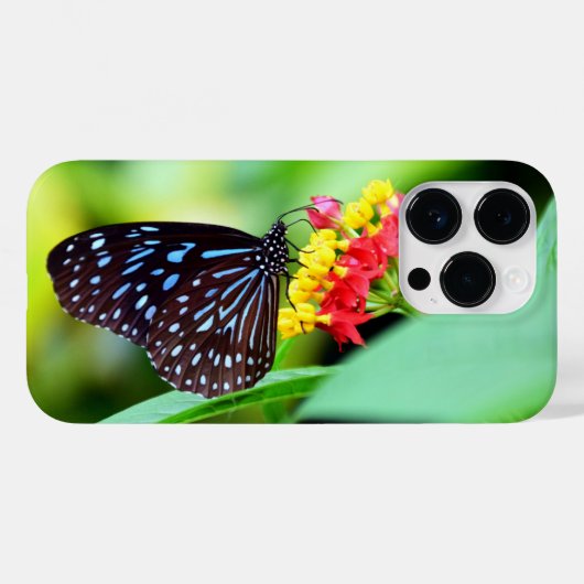 Schönes Butterfly iPhone / iPad Gehäuse Case-Mate iPhone Hülle (Rückseite (Horizontal))