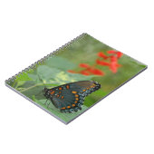 Schönes Butterfly-Notebook Notizblock (Linke Seite)