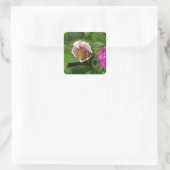 Schönes Butterfly-Set Quadratischer Aufkleber (Tasche)