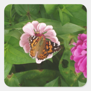 Schönes Butterfly-Set Quadratischer Aufkleber