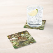 Schönes Butterfly Untersetzer Set (Vor Ort)