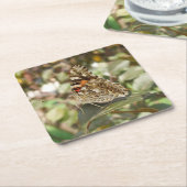 Schönes Butterfly Untersetzer Set (angewinkelt)