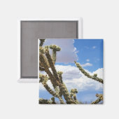 Schönes Cactus Foto Magnet (Vorderseite/Rückseite)