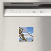 Schönes Cactus Foto Magnet (In Situ (Geschirrspüler))