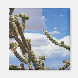 Schönes Cactus Foto Magnet