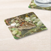 Schönes Camouflage Butterfly Untersetzer Set (angewinkelt)