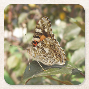 Schönes Camouflage Butterfly Untersetzer Set