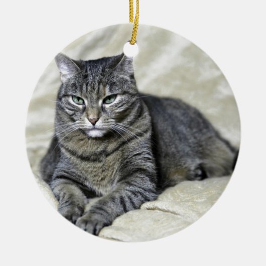 Schönes Cat Lay Keramik Ornament (Vorne)