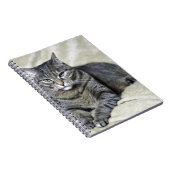 Schönes Cat Lay Notizblock (Rechte Seite)