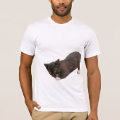 Schönes Cat Picture T-Shirt (Vorderseite)