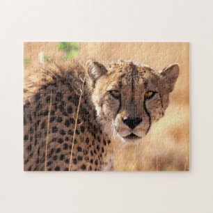 Schönes Cheetah Portrait, Jigsaw Puzzle