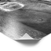 Schönes Chimp-Paar - Foto drucken (Ecke)