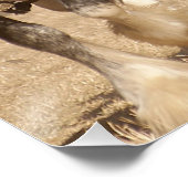 Schönes Clydesdale Pferde Pflügen - Teamarbeit Poster (Ecke)