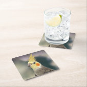 Schönes Cockatiel Untersetzer Set (Vor Ort)