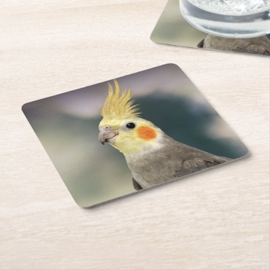 Schönes Cockatiel Untersetzer Set (angewinkelt)