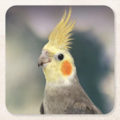 Schönes Cockatiel Untersetzer Set (Vorderseite)