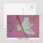 Schönes Cockatoo Postkarte (Vorne/Hinten)