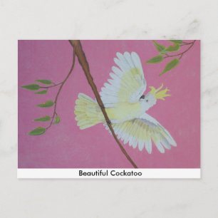 Schönes Cockatoo Postkarte